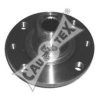 CAUTEX 011023 Wheel Hub